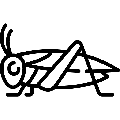 크리켓 Special Lineal icon