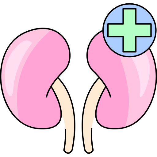 riñón Generic Thin Outline Color icono