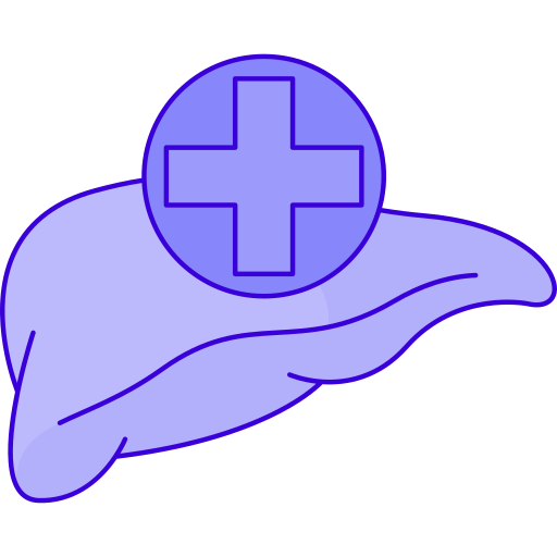 leber Generic Outline Color icon