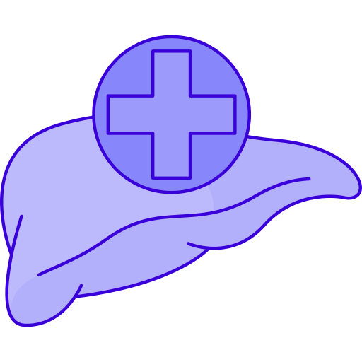 Liver Generic Outline Color icon