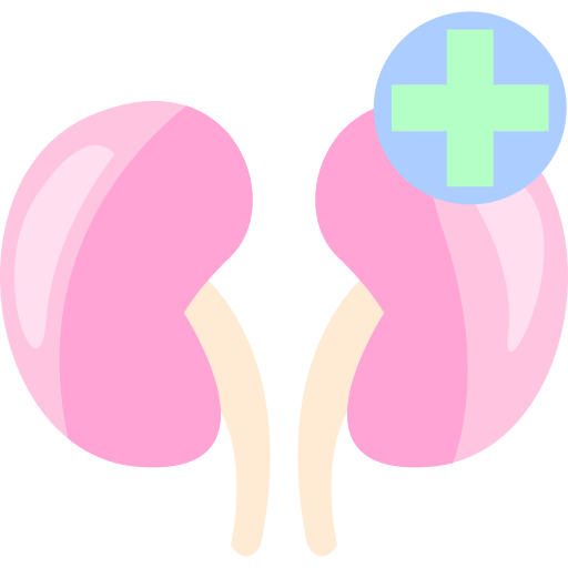 Kidney Generic Flat icon
