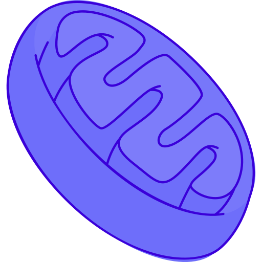 mitochondriën Generic Outline Color icoon