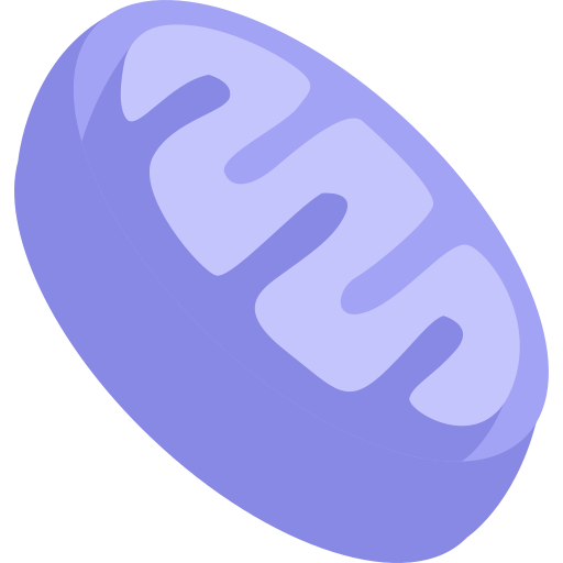 mitocondri Generic Flat icona