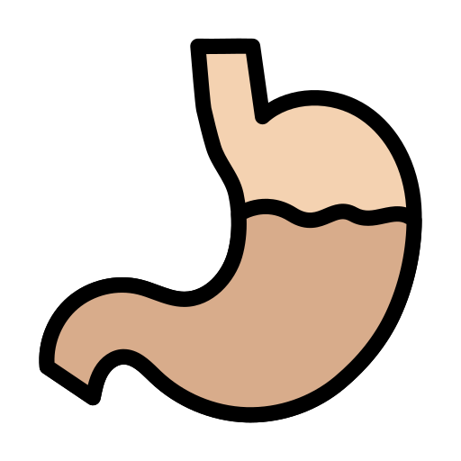 Stomach Vector Stall Lineal Color icon