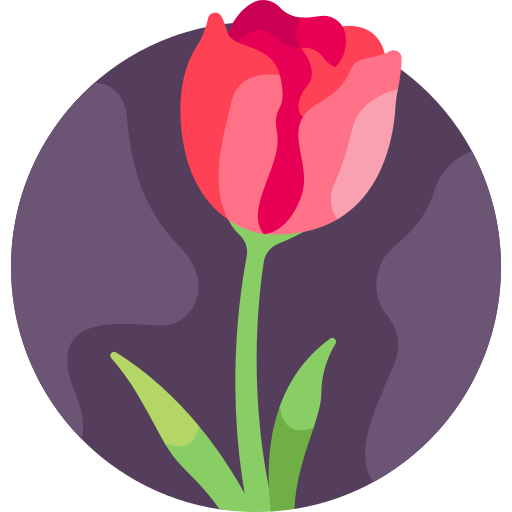 tulipano Detailed Flat Circular Flat icona