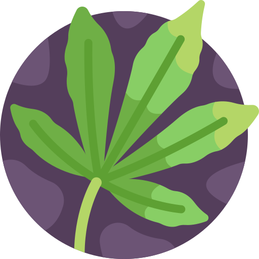 marihuana Detailed Flat Circular Flat icoon
