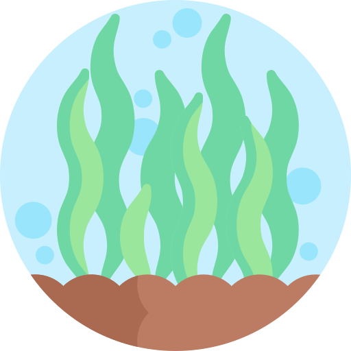 algues Detailed Flat Circular Flat Icône