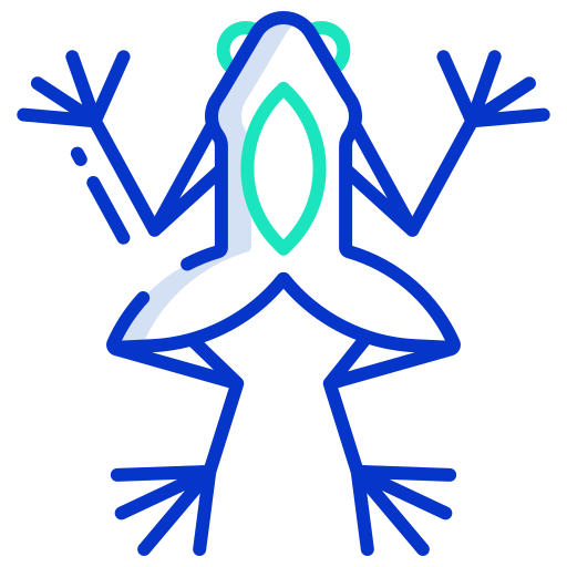 Frog Icongeek26 Outline Colour icon