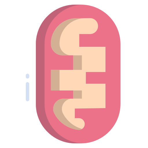 mitocondrias Icongeek26 Flat icono