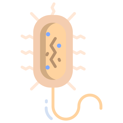 bacterias Icongeek26 Flat icono