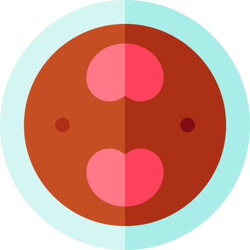 fagioli rossi Basic Rounded Flat icona