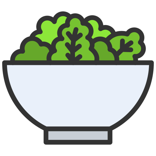 Salad Generic Outline Color icon