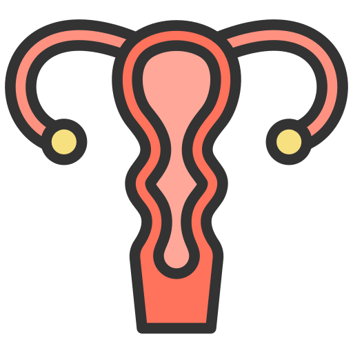 ginekologia Generic Outline Color ikona