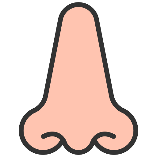 Rhinology Generic Outline Color icon