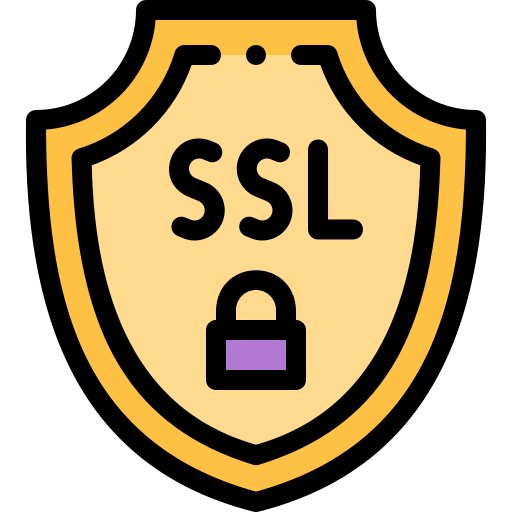 ssl Detailed Rounded Lineal color icoon