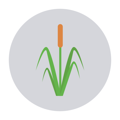 Reed Dinosoft Circular icon