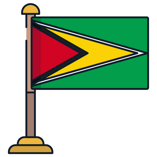 Guyana Icongeek26 Linear Colour icon