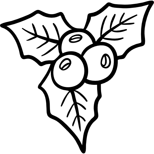 Mistletoe Hand Drawn Black icon