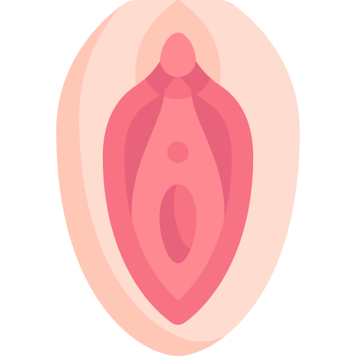 Vagina Special Flat icon