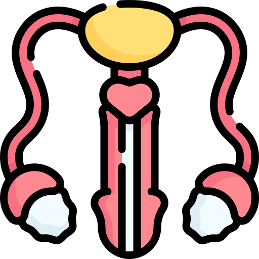 Репродуктивная система Special Lineal color иконка
