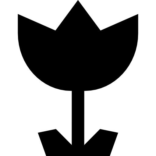 Angular flower  icon