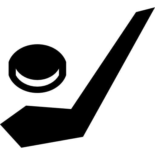 아이스 하키 스틱과 퍽  icon