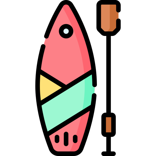 Paddle board Special Lineal color icon