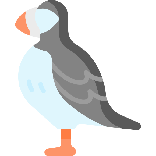 puffin Special Flat Ícone