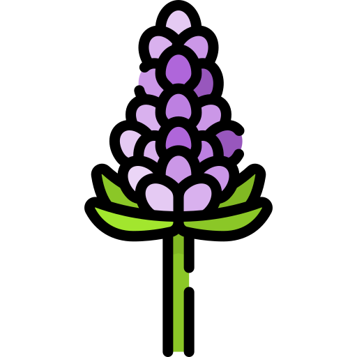 lupine Special Lineal color icon