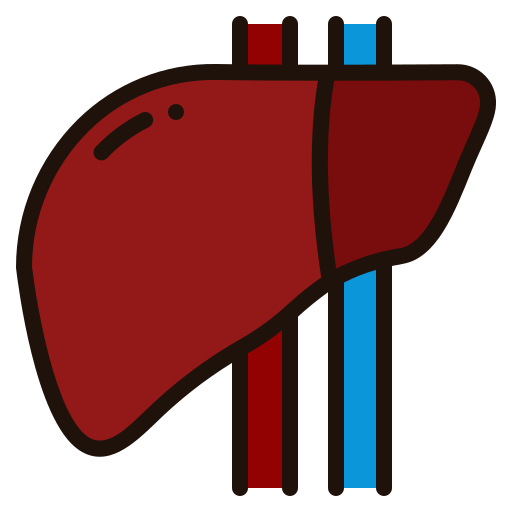hígado Generic Outline Color icono