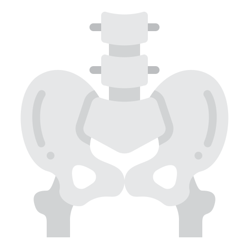 pelvis Generic Flat icono