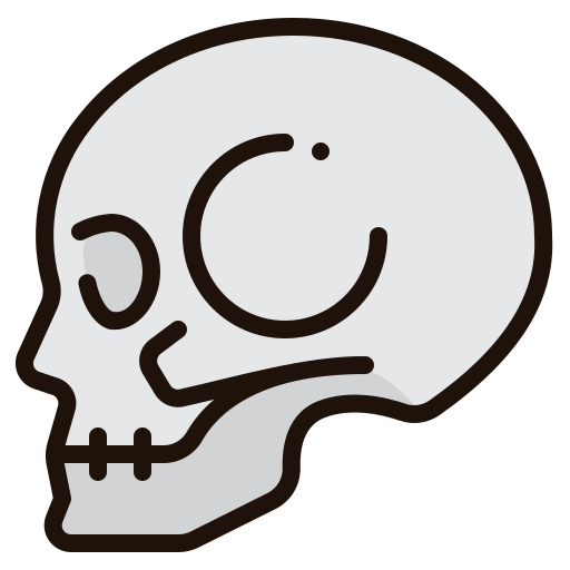 le crâne Generic Outline Color Icône