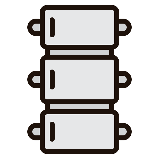 wirbelsäule Generic Outline Color icon