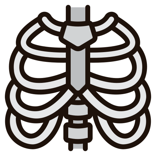 Thorax Generic Outline Color icon