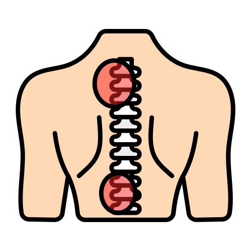 Spinal cord Generic Outline Color icon
