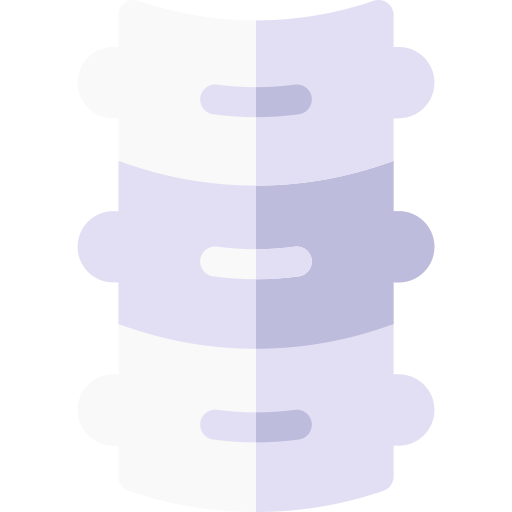 Dorsal spine Basic Rounded Flat icon