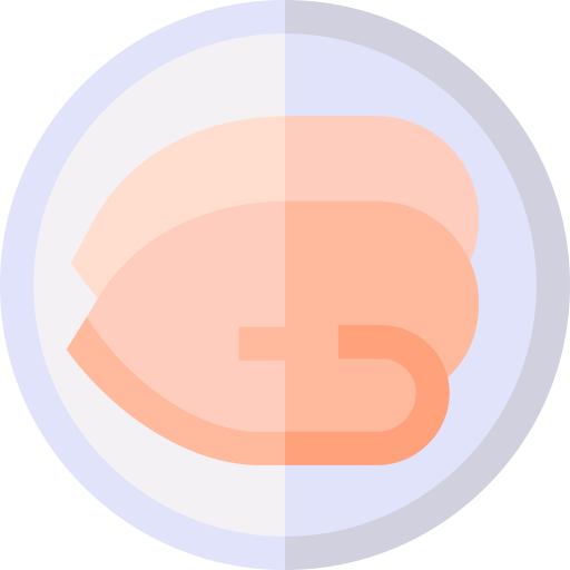 kip Basic Straight Flat icoon
