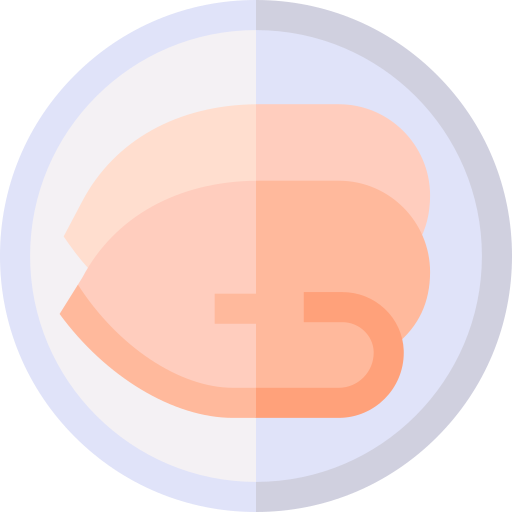 鶏 Basic Straight Flat icon