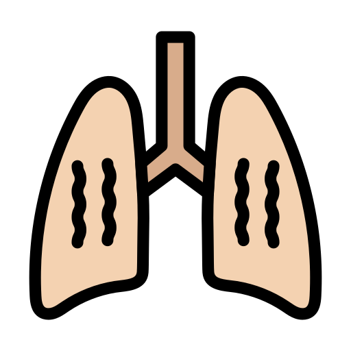 肺 Vector Stall Lineal Color icon