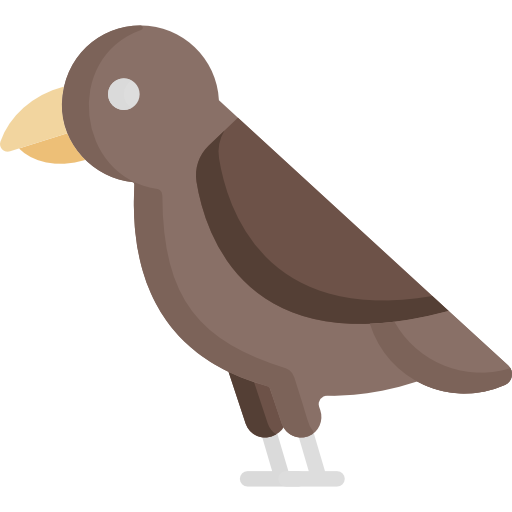 pájaro Special Flat icono