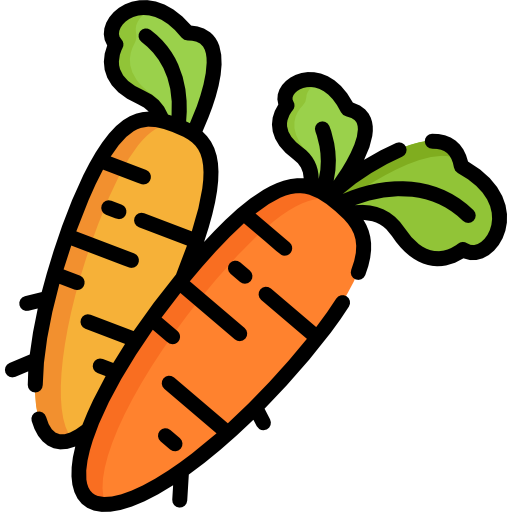 Carrot Special Lineal color icon