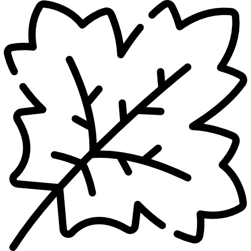 カエデの葉 Special Lineal icon
