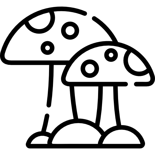 Гриб Special Lineal иконка