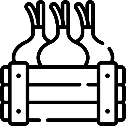 タマネギ Special Lineal icon