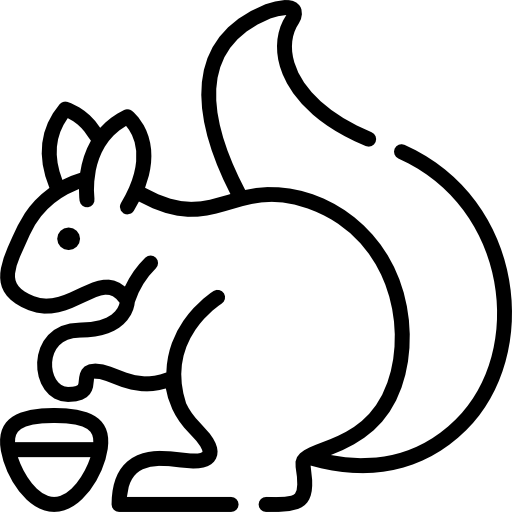 リス Special Lineal icon