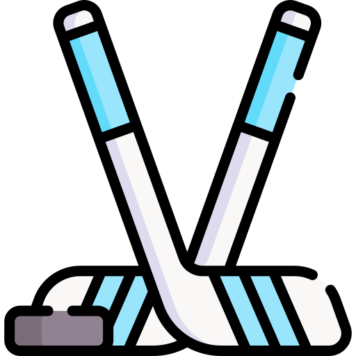 hockey Special Lineal color icono