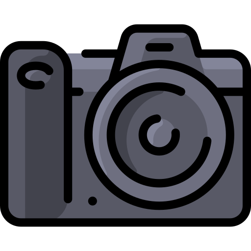 cámara fotográfica Vitaliy Gorbachev Lineal Color icono