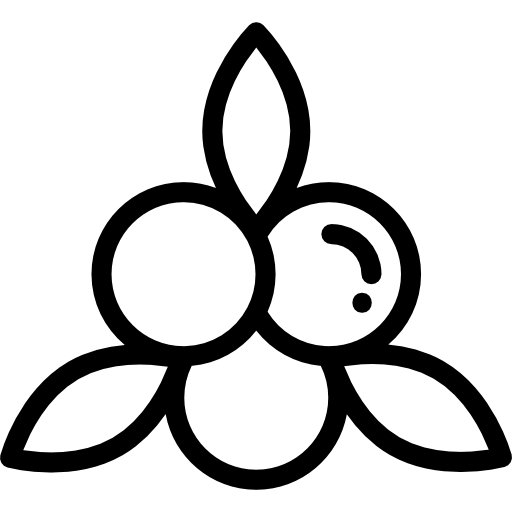 ヤドリギ Detailed Rounded Lineal icon
