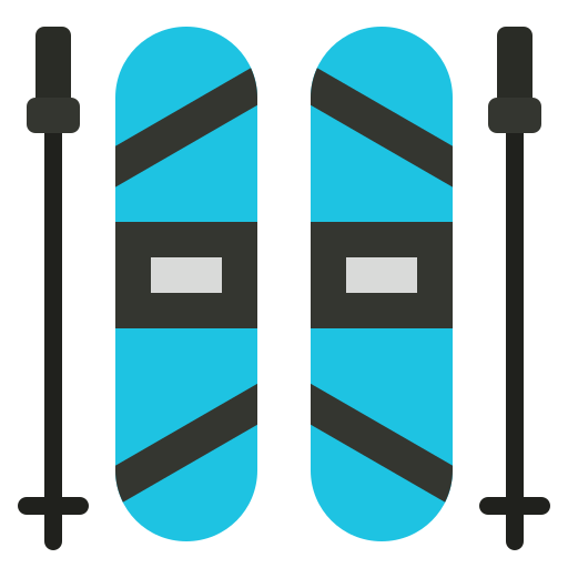 ski Generic Flat icoon