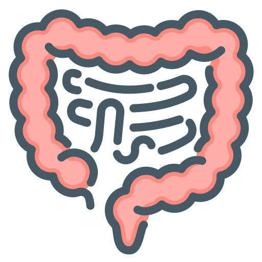 gastroenterología Generic Color Omission icono